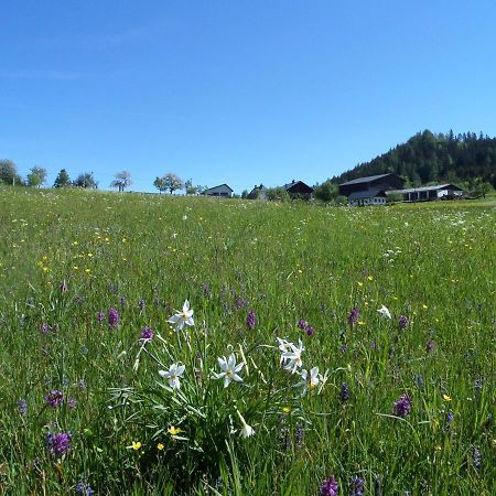 Bauernhof Ablass Göstling an der Ybbs Exterior foto