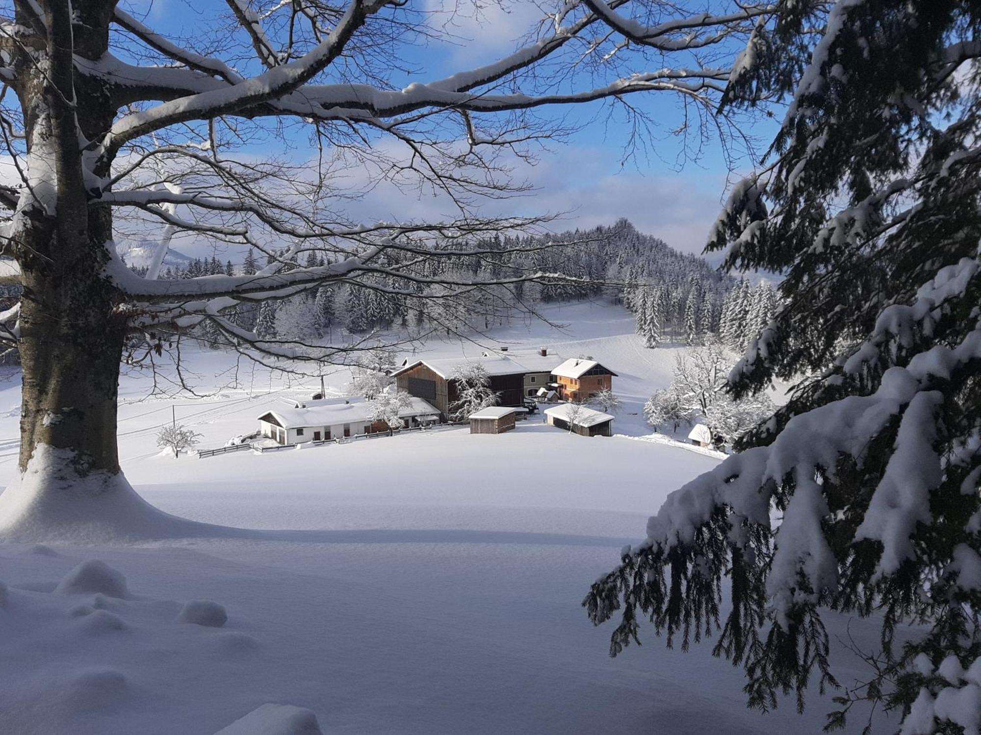 Ferienwohnung Bauernhof Ablass Göstling an der Ybbs Exterior foto