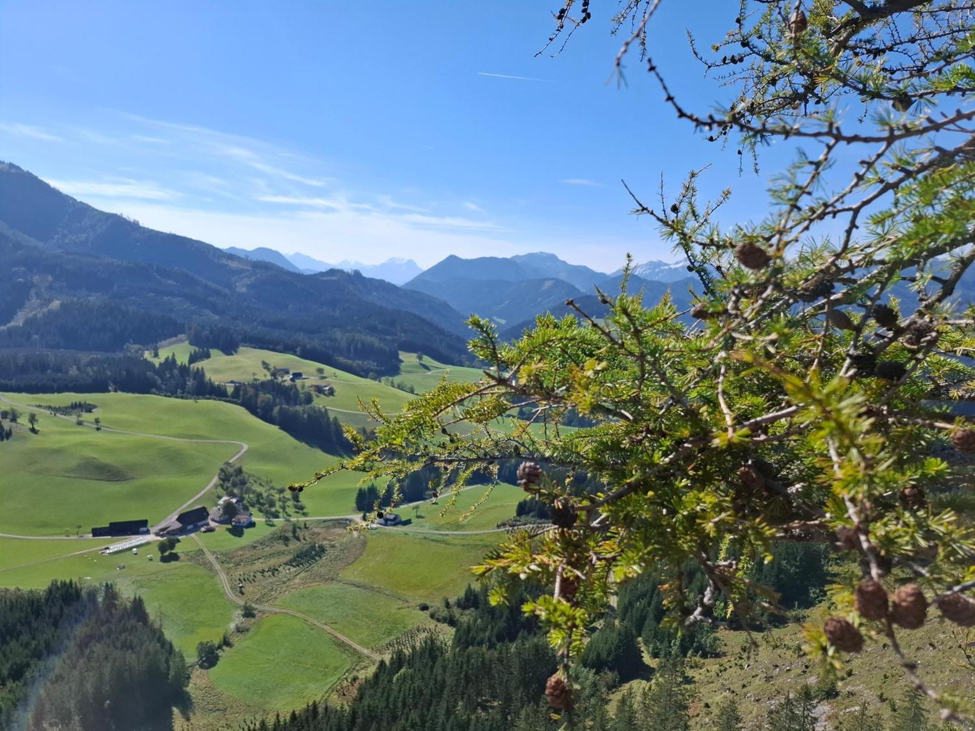 Ferienwohnung Bauernhof Ablass Göstling an der Ybbs Exterior foto