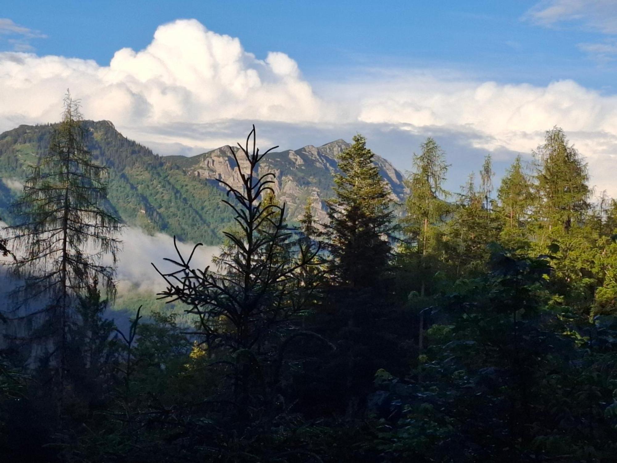 Ferienwohnung Bauernhof Ablass Göstling an der Ybbs Exterior foto