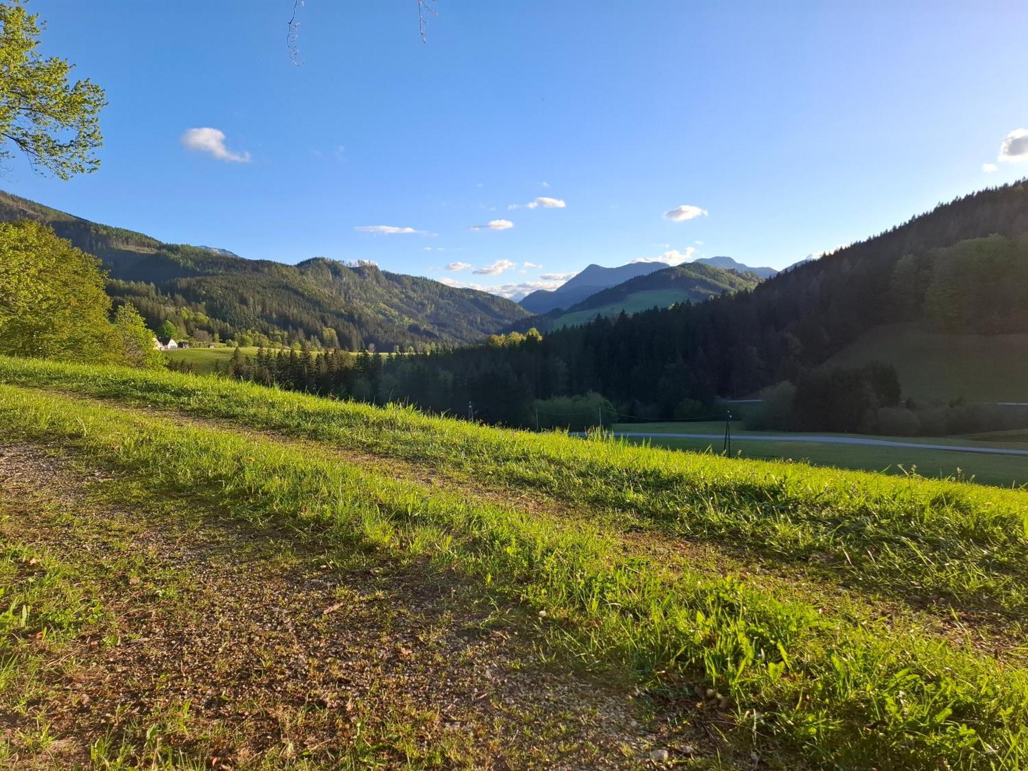 Ferienwohnung Bauernhof Ablass Göstling an der Ybbs Exterior foto