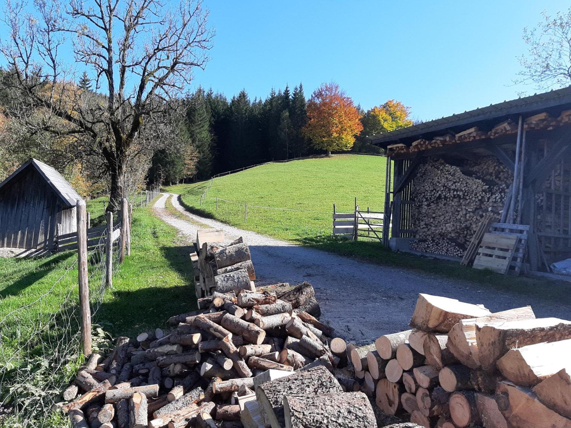 Ferienwohnung Bauernhof Ablass Göstling an der Ybbs Exterior foto