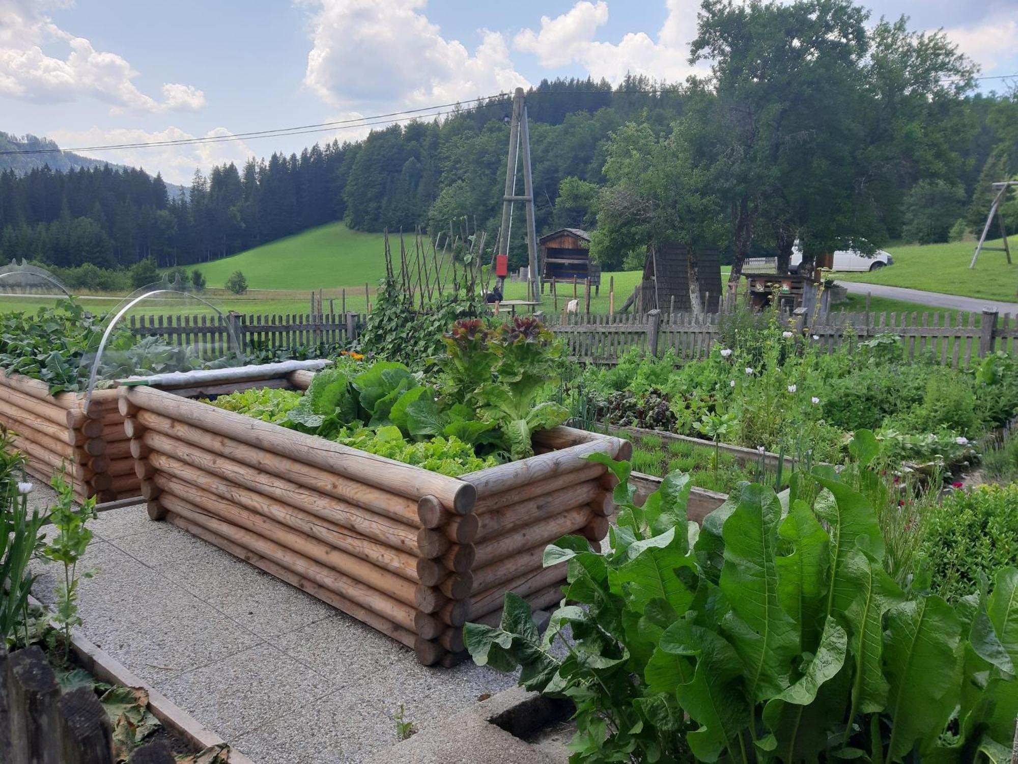 Ferienwohnung Bauernhof Ablass Göstling an der Ybbs Exterior foto