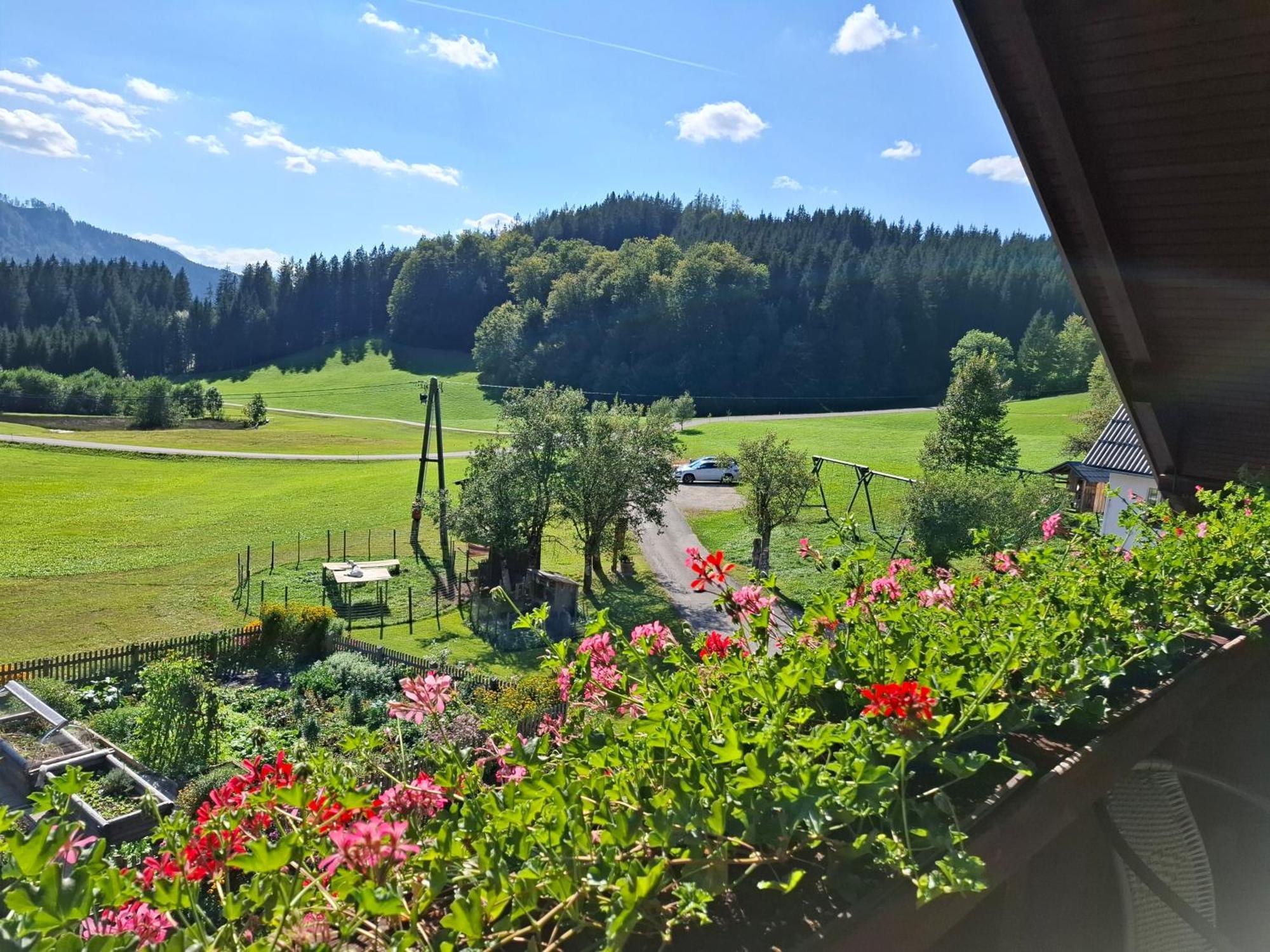 Ferienwohnung Bauernhof Ablass Göstling an der Ybbs Exterior foto