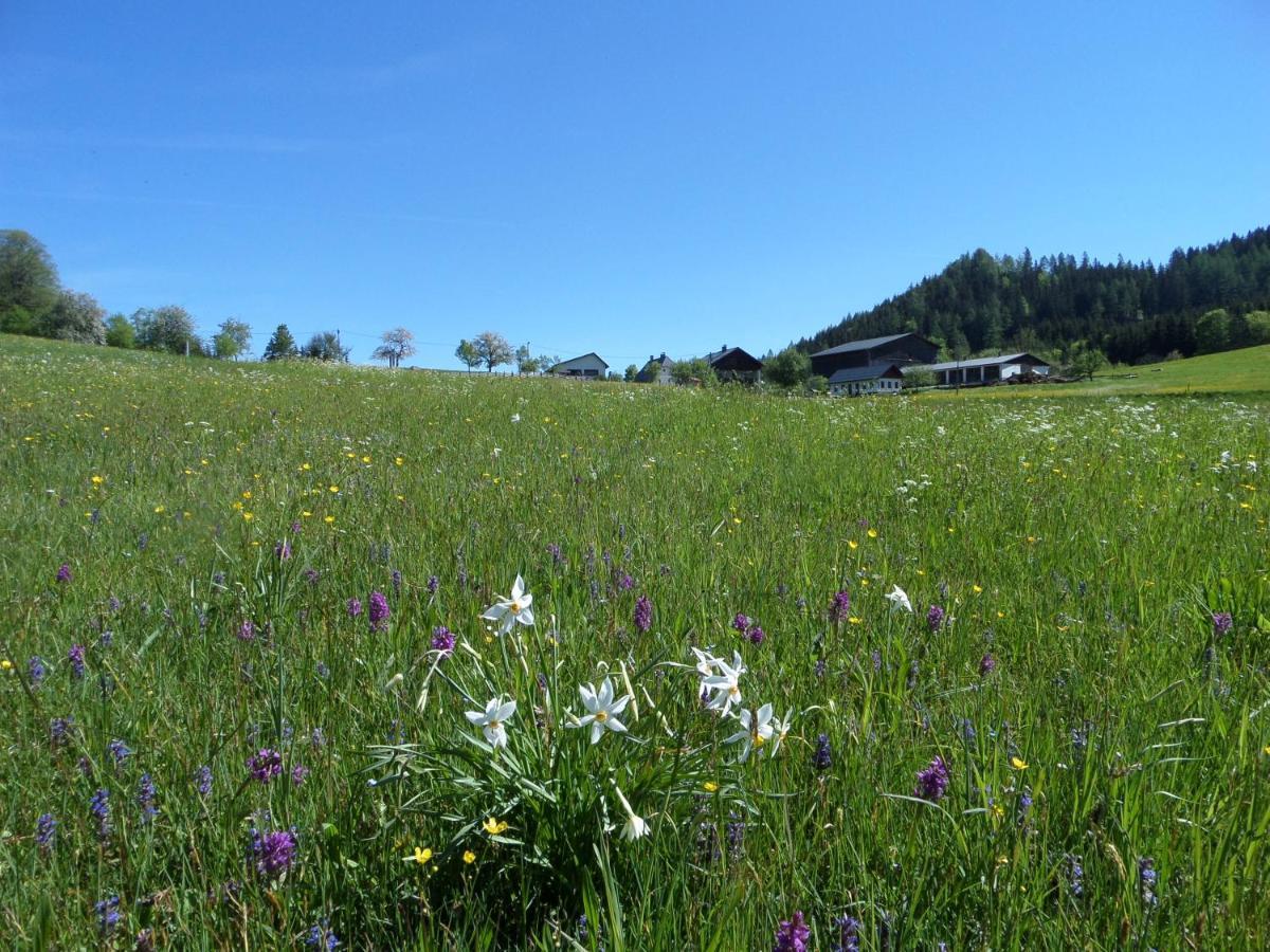 Ferienwohnung Bauernhof Ablass Göstling an der Ybbs Exterior foto